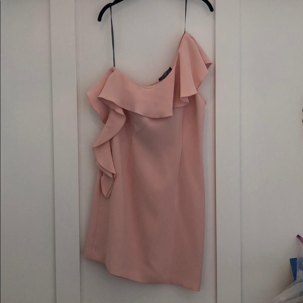 Rachel Zoe blush pink one shoulder ruffle dress
